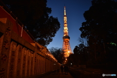 東京タワー