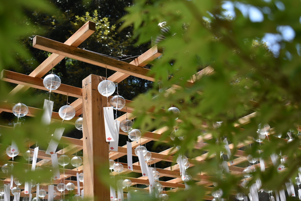 氷川神社 風鈴