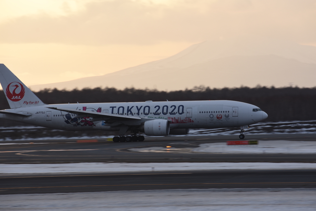 冬の新千歳空港_JAL_TOKYO2020ver