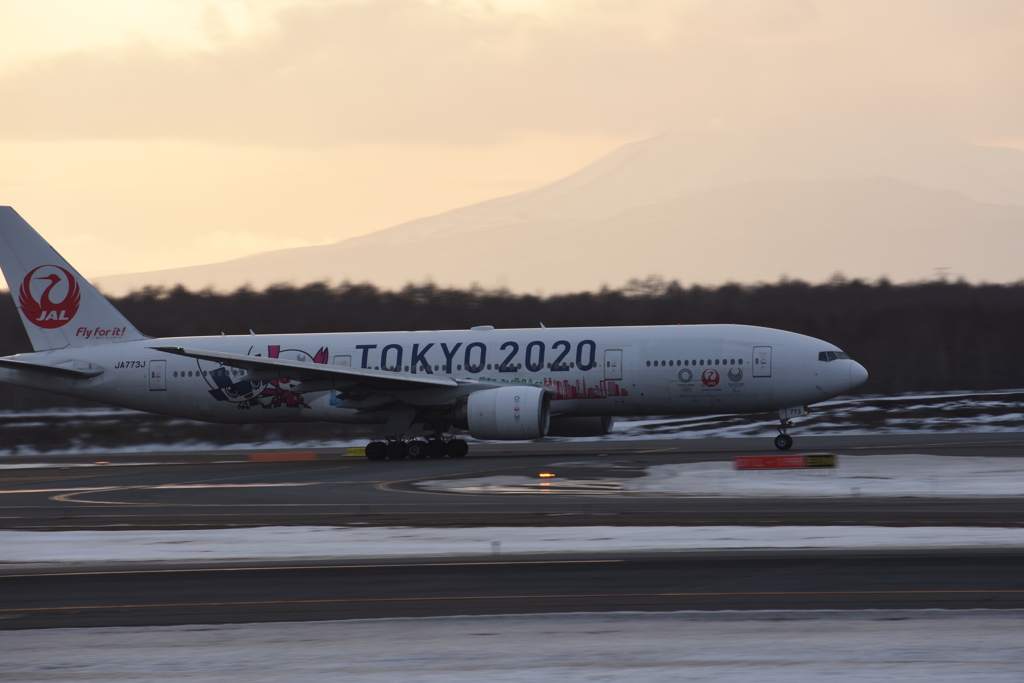 冬の新千歳空港_JAL_TOKYO2020ver