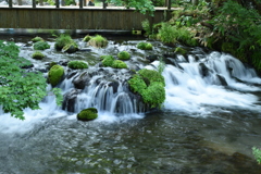 京極の名水