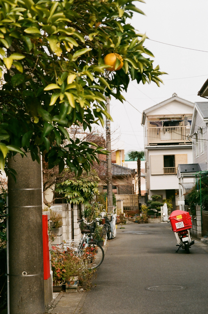 路地