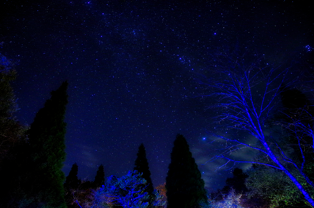秋の空