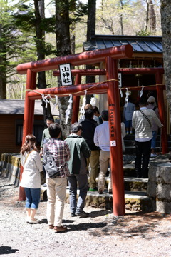 新屋山神社 奥宮 