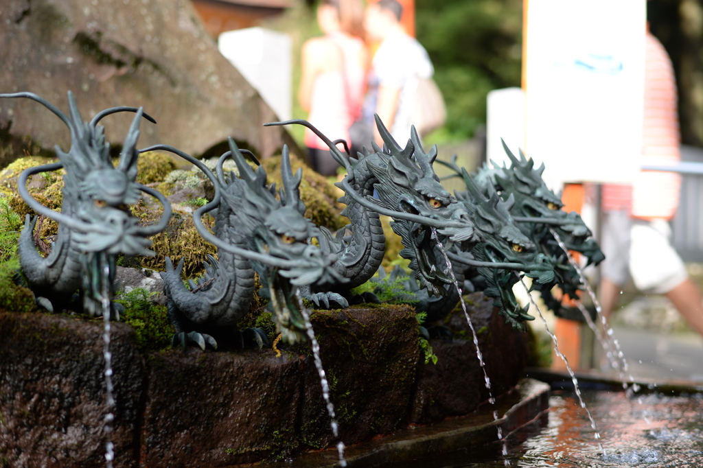 箱根神社 九頭龍神社御神龍水の手水場