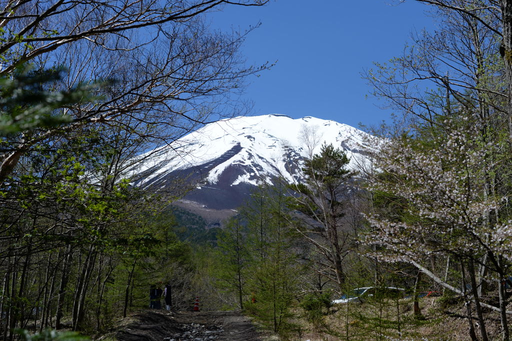 新屋山神社 奥宮(富士山2合目)から富士山頂を望んで