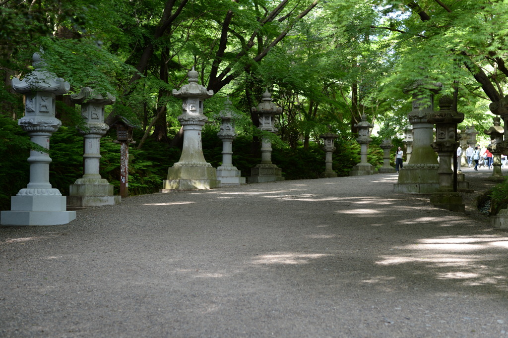 香取神宮 参道 By こしわら Id 写真共有サイト Photohito