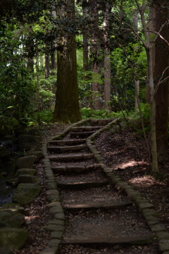 香取神宮 脇参道