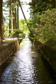 北口本宮冨士浅間神社 参道脇の水路