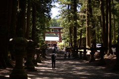 北口本宮冨士浅間神社 参道から大鳥居を望んで