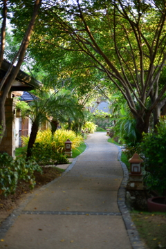 好きなPath