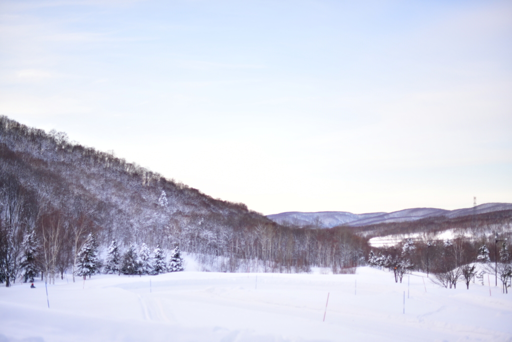 冬はやはり好きだな。。