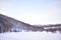 冬はやはり好きだな。。