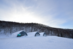 なんとなく。。