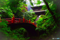 雲巌寺