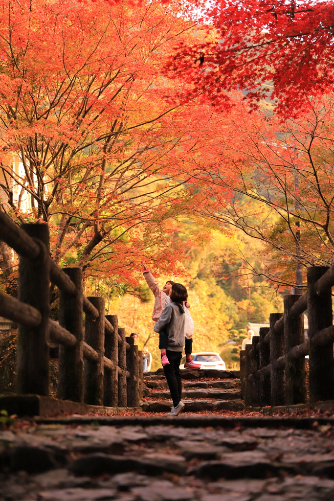 竜門峡の紅葉