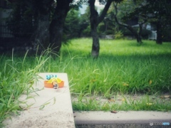 公園にて