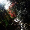 2F71DBB1-5FC6-48A3-AC5D-31672626B417