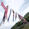 こいのぼり