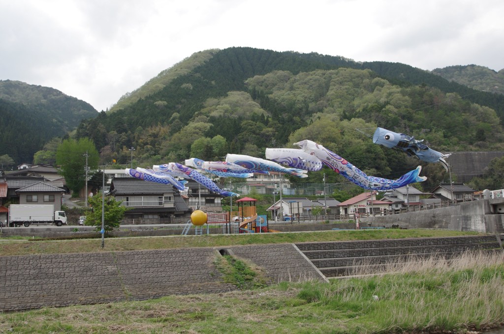 川上り