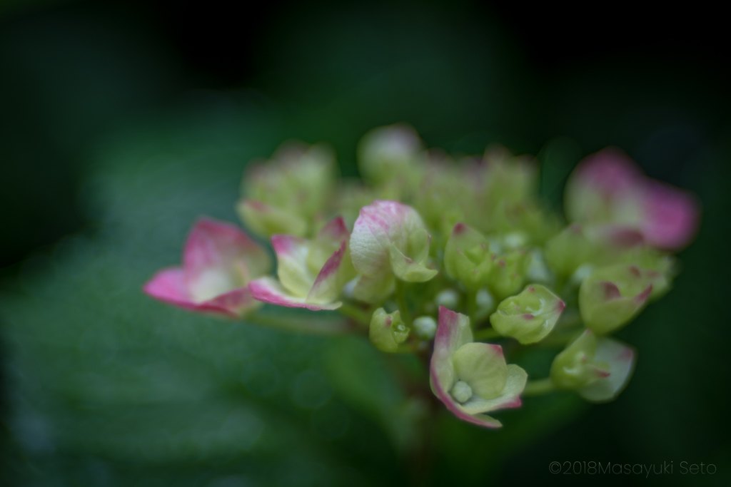 20180311-101