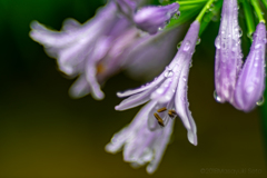 20180311-50
