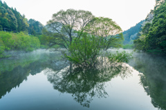 新緑の室生湖