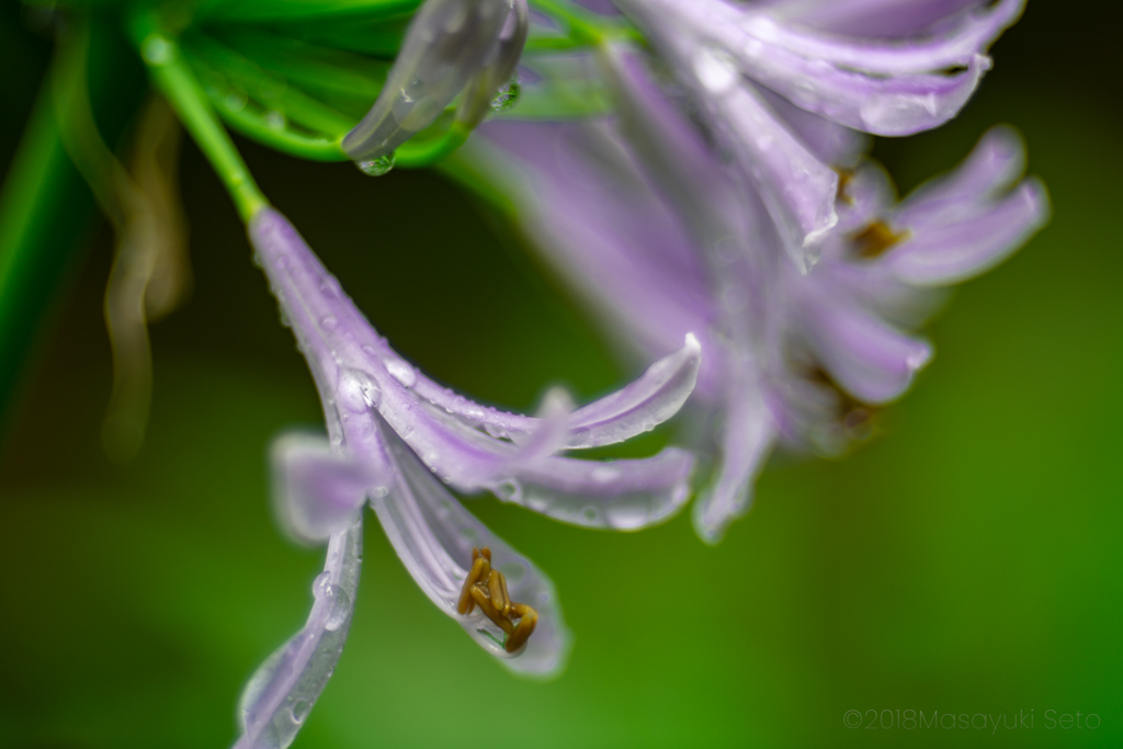 20180311-47