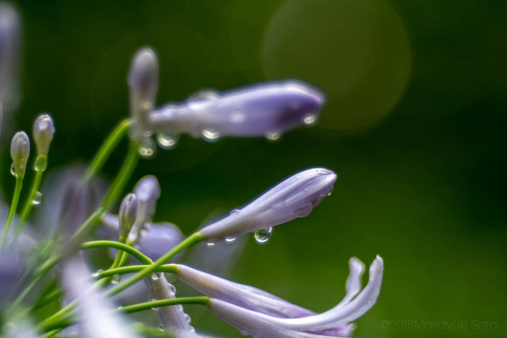 20180311-85
