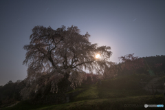 20180311-5