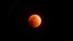 Super Blue Blood Moon