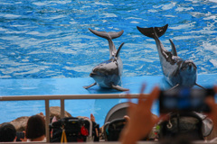 名古屋港水族館②