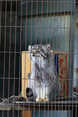 東山動物園にて