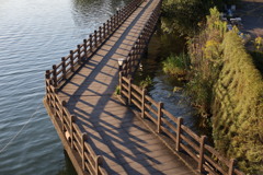 木橋