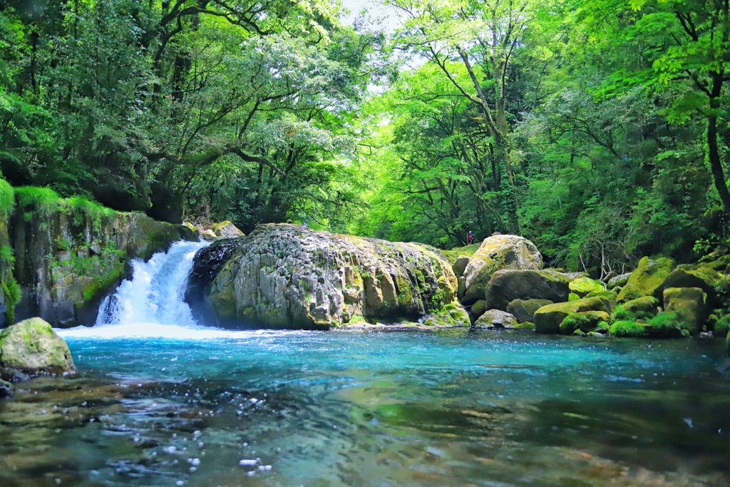 菊池渓谷