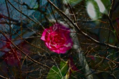 Attempt on multiple exposure