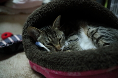 一休み