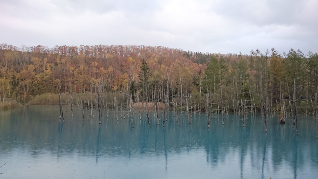 小雪が舞う秋の青い池