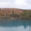 小雪が舞う秋の青い池