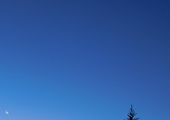 月と木星 