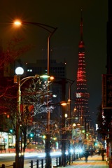 還暦東京タワー2