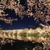 弘前公園桜ライトアップ-2