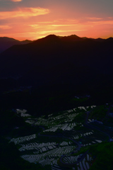 丸山千枚田夕景