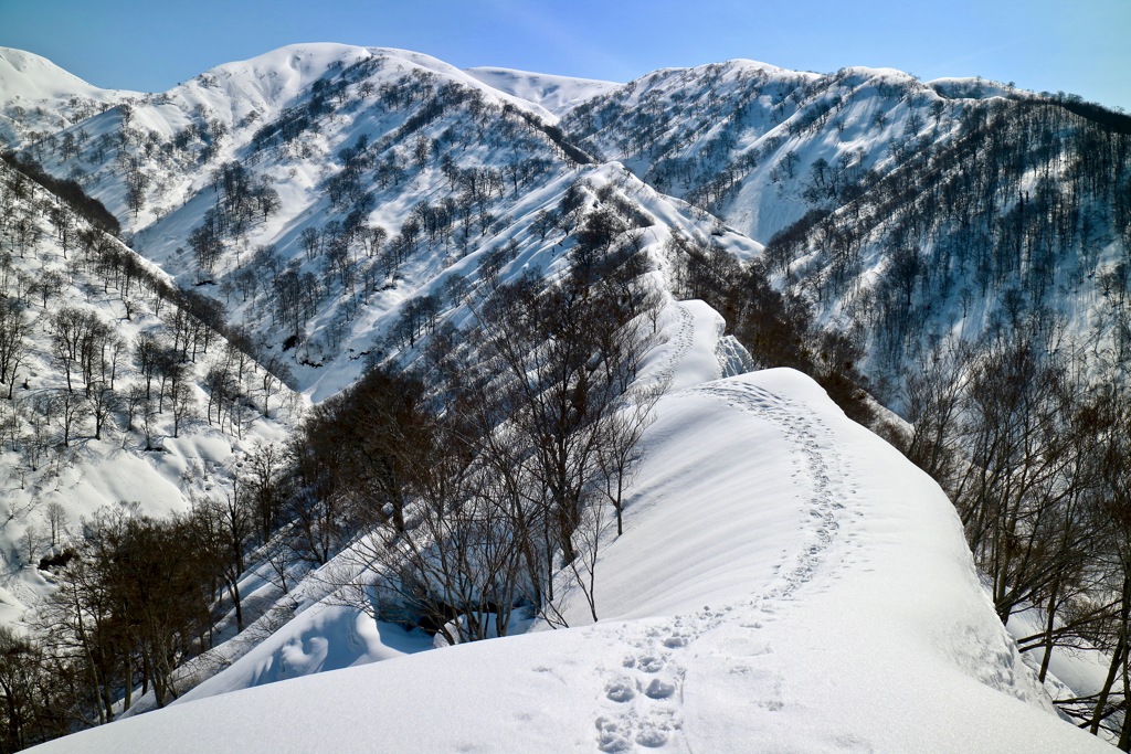 山頂遥かなり