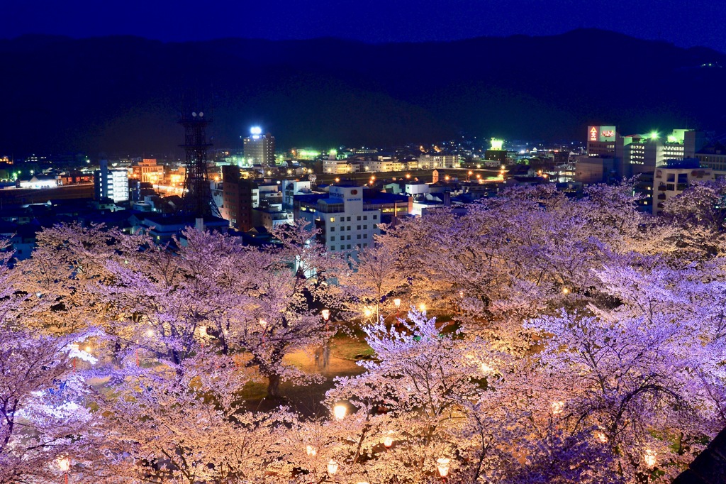 鶴山公園 津山城 桜祭り 桜 ライトアップ