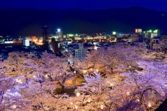 鶴山公園 津山城 桜祭り 桜 ライトアップ