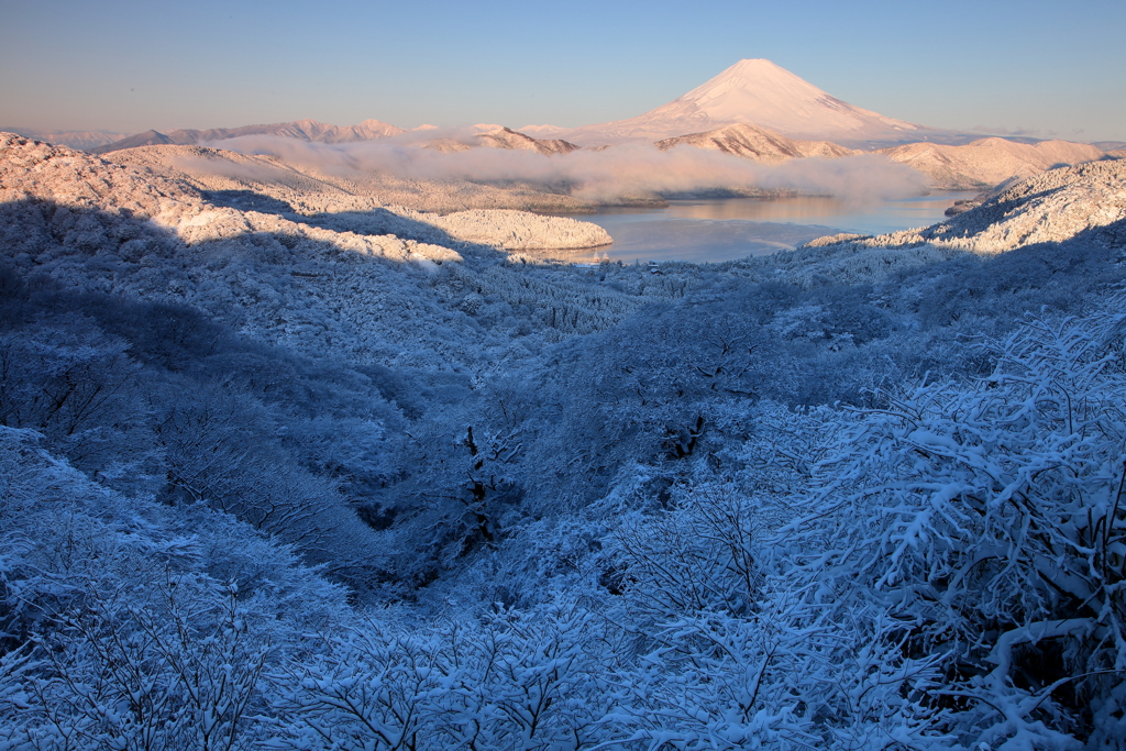 大観山朝景