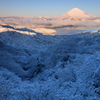 大観山朝景