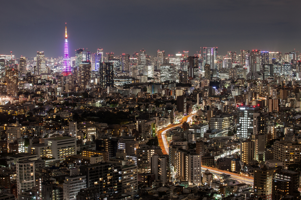 夜の女王