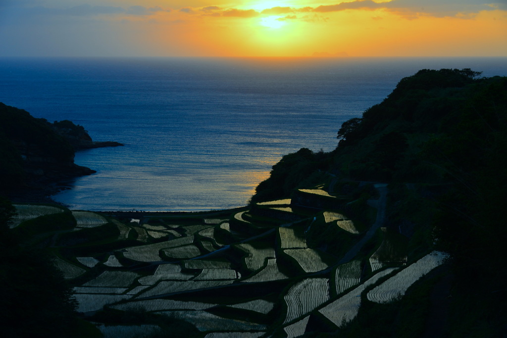 浜ノ浦の棚田